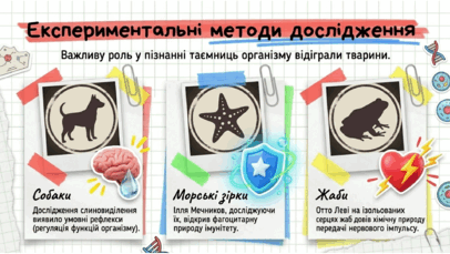 09024tfh-8356-406x229.png