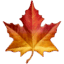 🍁