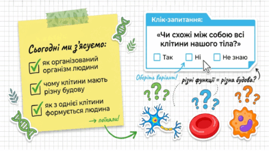 09024tzt-9c30-393x221.png