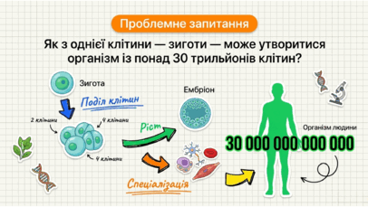 09024tzv-8831-406x229.png