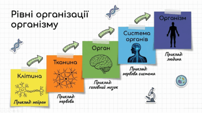 09024u01-be33-414x233.png