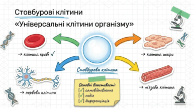 09024u04-d332-386x217.png