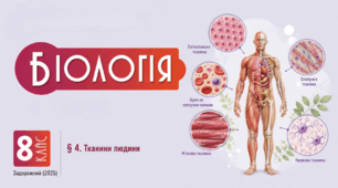 Тканини людини