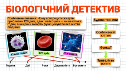 09024u12-9ece-404x227.png