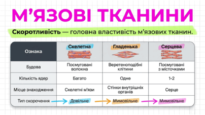 09024u16-2494-404x227.png