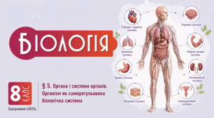 Органи і системи органів. Організм як саморегульована біологічна система.Презентація, інфографіка, робочий аркуш