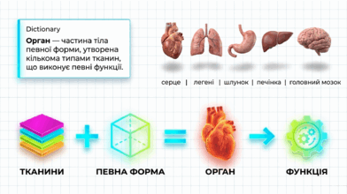 09024ull-3a24-392x220.png