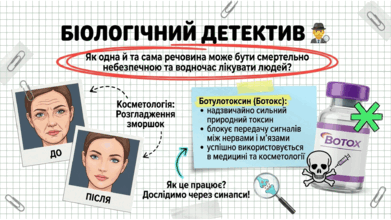 09024utn-a19a-391x220.png
