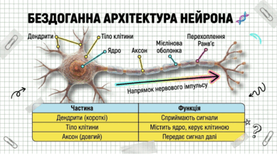 09024utq-bbb2-389x219.png
