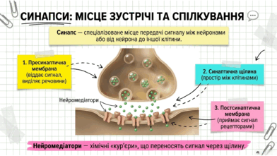 09024utt-c109-392x221.png