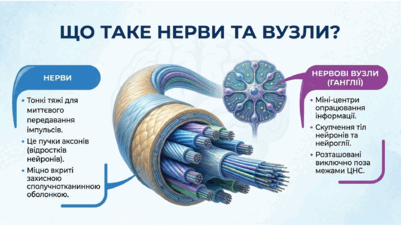 09024ux3-f276-401x226.png