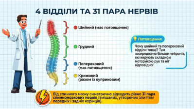 09024uxh-d7cc-399x225.png