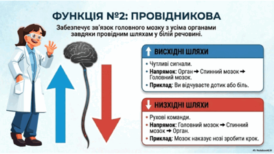 09024uxi-ccc1-399x225.png