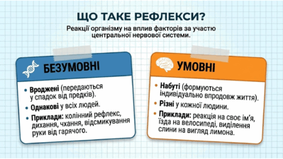 09024uxk-1656-399x225.png