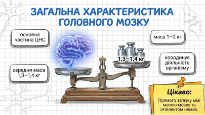 09024uyz-5d57-405x228.png