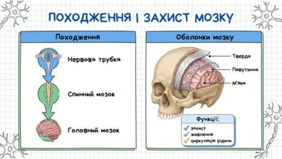 09024uz8-0967-396x223.png