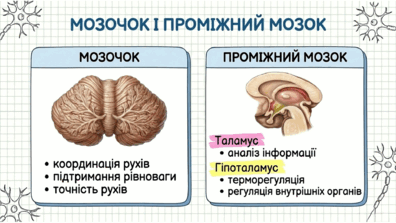 09024uzb-6ea1-396x223.png
