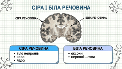 09024uze-0524-407x229.png