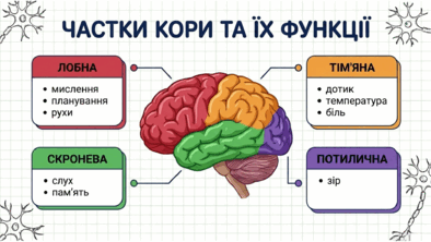 09024uzh-7e65-394x222.png