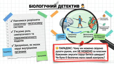 09024v2u-3553-387x217.png