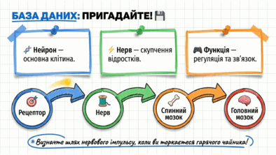 09024v2x-854a-394x222.png