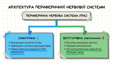 09024v34-8ce6-382x215.png