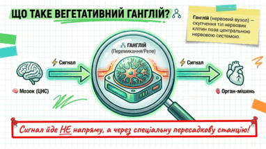 09024v39-dbf7-382x215.png