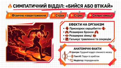 09024v3d-589f-415x234.png