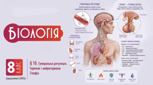 Гуморальна регуляція. Гормони і нейрогормони. Гіпофіз. Презентація, інфографіка, робочий аркуш