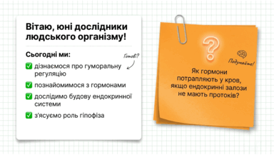 09024vez-6ed7-384x217.png