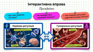 09024vfh-5265-391x219.png