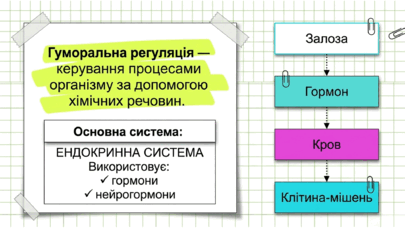 09024vfl-bb27-405x228.png