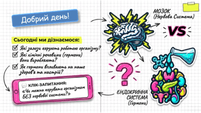 09024vm2-9710-394x222.png