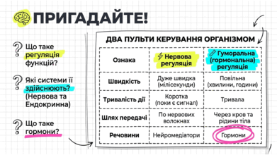 09024vmi-fdcd-391x220.png