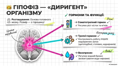 09024vmr-ada9-407x229.png