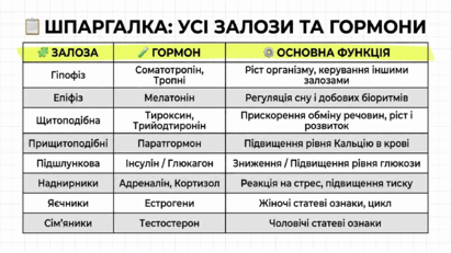 09024vnm-bdaf-411x231.png