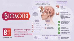 Гіпоталамо-гіпофізарна система. Захворювання нервової та ендокринної систем і їх профілактика.Презентація, інфографіка, робочий аркуш