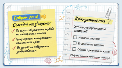 09024vsg-7a6c-392x220.png