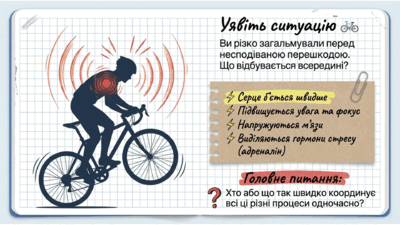 09024vsk-1240-400x225.png