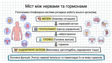 09024vsu-44a9-389x219.png
