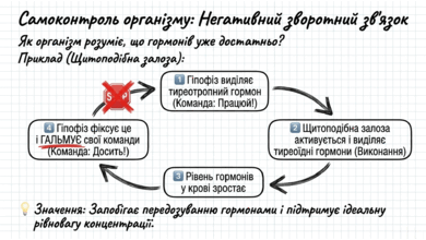 09024vt6-0ef2-390x220.png