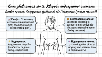 09024vt9-11eb-419x236.png