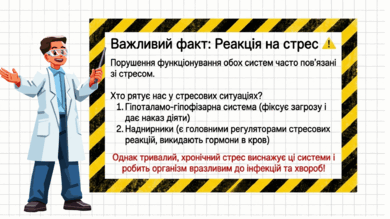 09024vta-d433-390x219.png