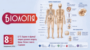 Будова та функції опорно-рухового апарату. Хрящі. Кістки і типи їх з'єднання. Презентація, інфографіка, робочий аркуш