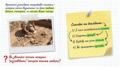 09024vwm-7798-383x216.png