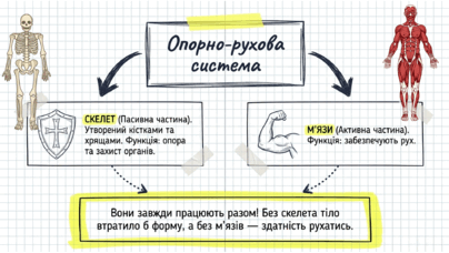 09024vwp-e09b-404x228.png