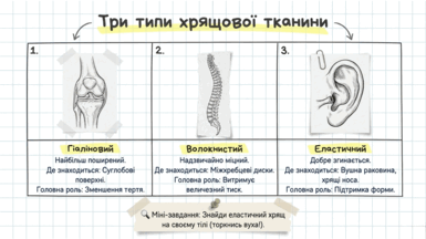09024vwz-0a55-385x216.png