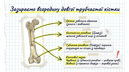 09024vx3-3488-421x237.png