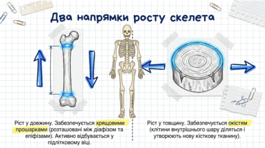09024vx8-b804-386x216.png
