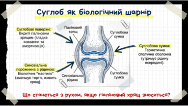 09024vxf-fc80-383x215.png